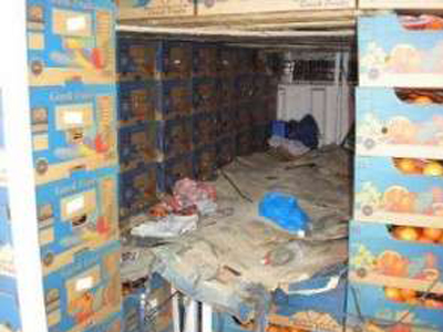 Συνεχίζονται οι έλεγχοι στα εξαγώγιμα φορτία εσπεριδοειδών