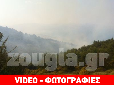 Υπό έλεγχο η φωτιά στον Άγιο Γεώργιο Βαρνάβα