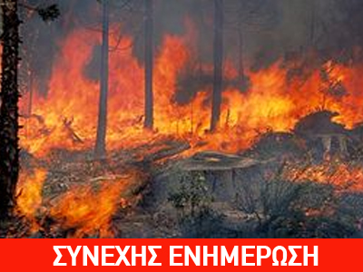 Σε εξέλιξη φωτιά στο Ξυλόκαστρο – Καίγεται δάσος