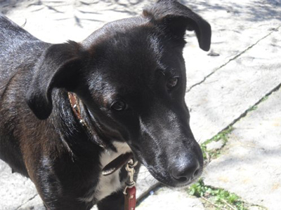 Χαρίζεται η γλυκιά Στόρμι