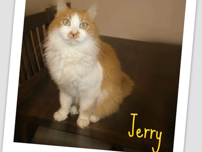 Τζέρυ: Γλυκός και τρυφερός σαν καραμέλα