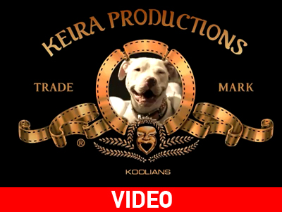 Η Κέιρα και οι μουσικές της ικανότητες…