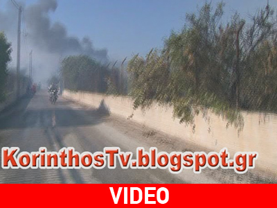 Καρέ – καρέ η φωτιά στην Κορινθία