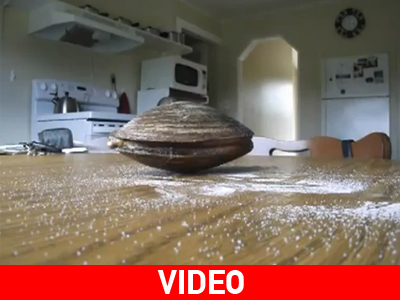 Όταν το κυδώνι γεύεται το αλάτι… Όταν το κυδώνι γεύεται το αλάτι…