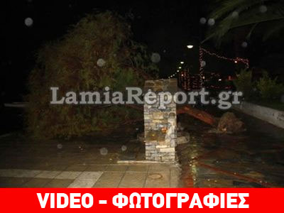 Ξεριζώθηκαν δέντρα στην ανατολική Φθιώτιδα