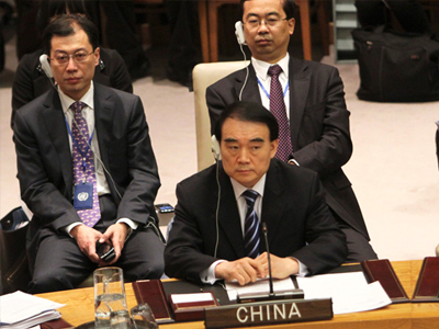 Κίνα: «Δεν προστατεύουμε κανέναν στη Συρία»