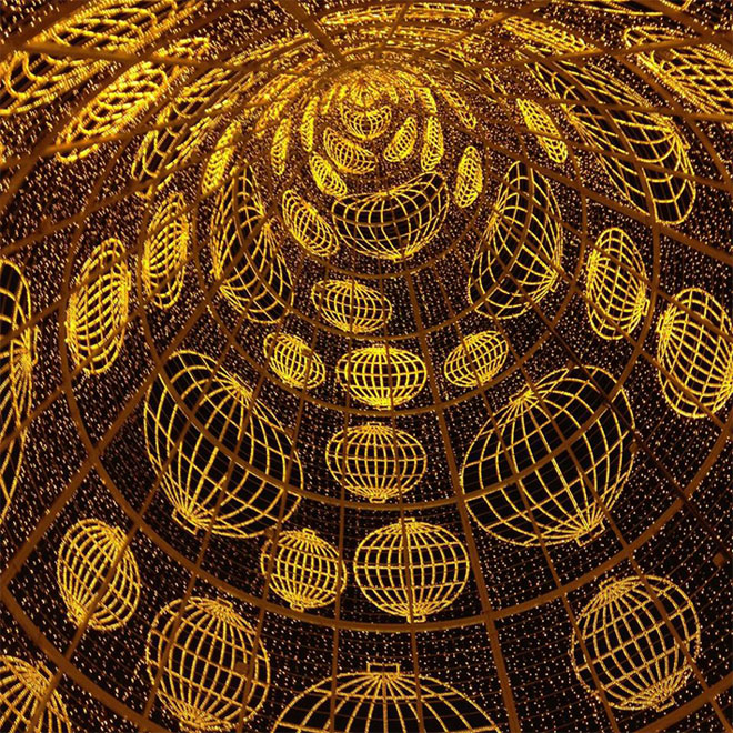 Άποψη από το εσωτερικό του δέντρου