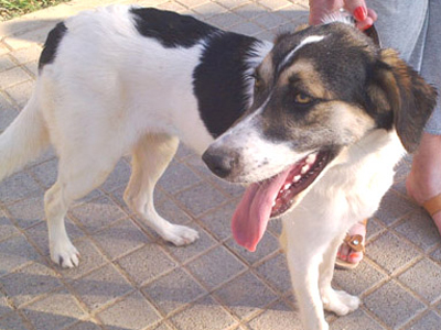 Χαρίζεται η Μάντυ