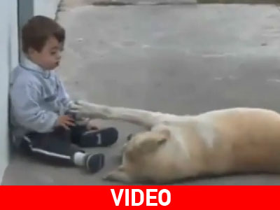 Η σκυλίσια αγάπη «νικά» τη νοητική υστέρηση