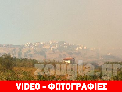 Υπό έλεγχο η πυρκαγιά στον Νέο Βουτζά