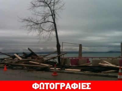 «Τσουνάμι» έπληξε την παραλιακή Φωκίδα- Ξεβράστηκαν ακόμη και δελφίνια