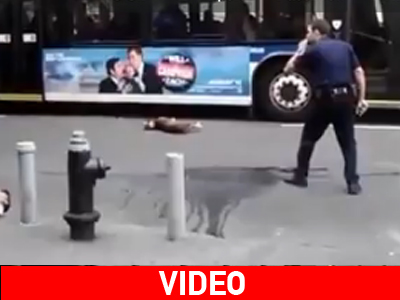 Αστυνομικός πυροβολεί πίτμπουλ στο κεφάλι εν μέση οδώ