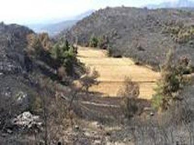 Κρήτη: Πλημμύρισαν σπίτια στο Ηράκλειο