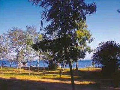 Πρέβεζα: Βρέθηκαν οστά ανθρώπινου χεριού