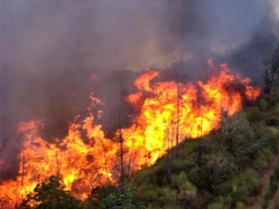 Ύδρα: Φωτιά σε δασική έκταση