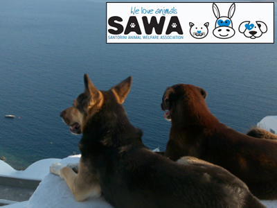 Ένωση Ζωοφίλων Θήρας: Ετήσια Έκθεση 2011