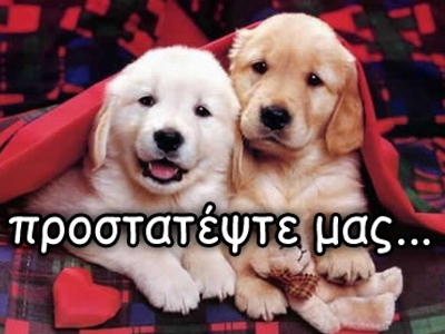 Λέσβος: Διαμαρτυρία φιλόζωων