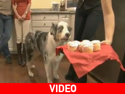 Του ‘πεσαν τα σάλια!