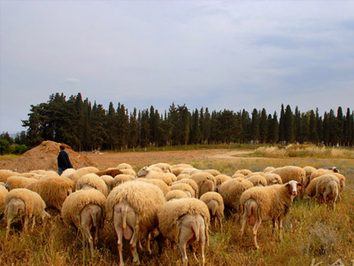 Ίσως έρχεται ο κύριος Νομάρχης