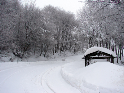 Αποκλεισμένα τα Χάνια Πηλίου από το χιόνι