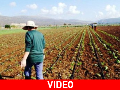 Δεν μπορούν να σπείρουν βαμβάκι λόγω καιρού