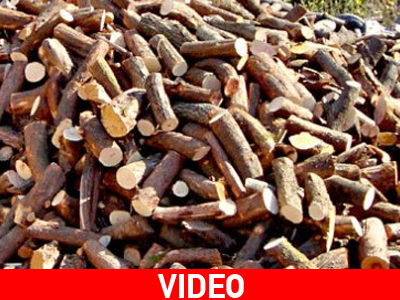 Φθιώτιδα: Στέρεψαν οι αποθήκες ξυλείας