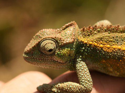 Απίστευτη ΕΡΤ: Ο κουμπάρος του Ρουσόπουλου, στον Παπανδρέου!