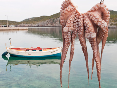 Το έλεγε η καρδιά της αν και παράνομη