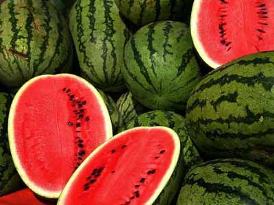 Κατερίνη: Καρπουζοπαραγωγός σφάζει τις τιμές !