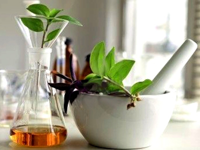 Πώς χρησιμοποιούμε τα βότανα και τα φαρμακευτικά φυτά;