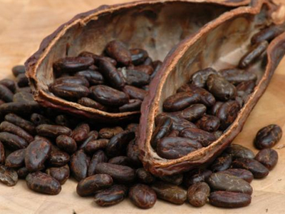 Οι ευεργετικές ιδιότητες του κακάο