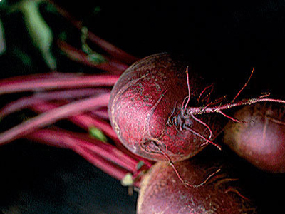 Παντζάρι: Ένα «μυθικό» λαχανικό με ευεργετικές ιδιότητες