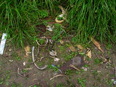 Μακάβρια ευρήματα στην Ευρυτανία