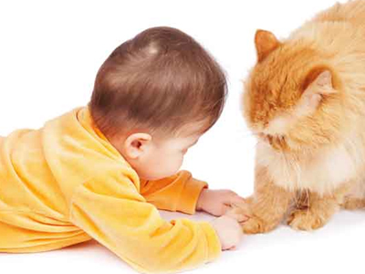 Όταν τα ζώα επιτίθενται στα παιδιά