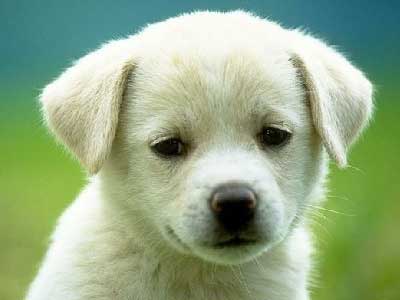 ΤΑ ΝΕΑ ΤΟΥ ΜΠΙ-ΚΟΥ-ΤΙ