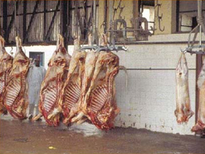 Αθέμιτος ανταγωνισμός για τον οβελία