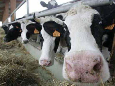 Σήμανση “μεταλλαγμένης εκτροφής” από τη Νομαρχία Λάρισας Σήμανση “μεταλλαγμένης εκτροφής” από τη Νομαρχία Λάρισας