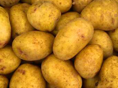 Stop στη μεταλλαγμένη πατάτα από την Κατερίνα Μπατζελή Stop στη μεταλλαγμένη πατάτα από την Κατερίνα Μπατζελή