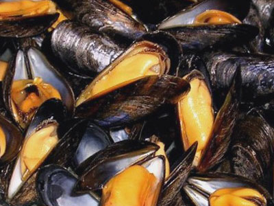 Ενημέρωση για τα «σαρακοστιανά» από την Διεύθυνση Κτηνιατρικής Ενημέρωση για τα «σαρακοστιανά» από την Διεύθυνση Κτηνιατρικής