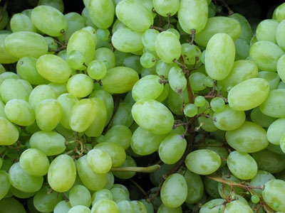 Στο «μικροσκόπιο» του ΥΠΑΑΤ τα επιτραπέζια σταφύλια