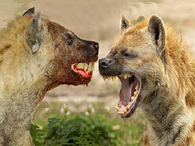 Ξεκατίνιασμα ευρωπαϊκού επιπέδου