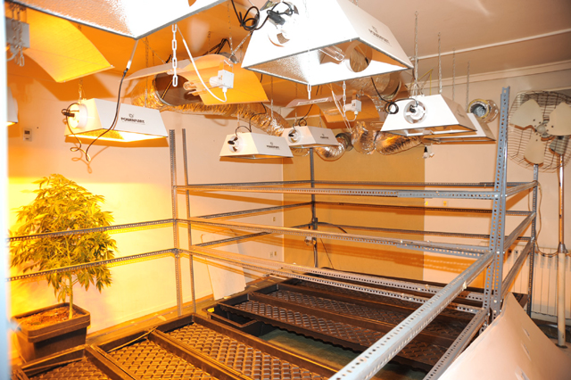 Μάνα και γιος καλλιεργούσαν κάνναβη στο σπίτι τους