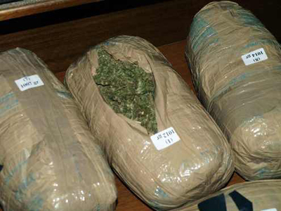 Μπαράζ επιχειρήσεων απέδωσε τρία κιλά χασίς