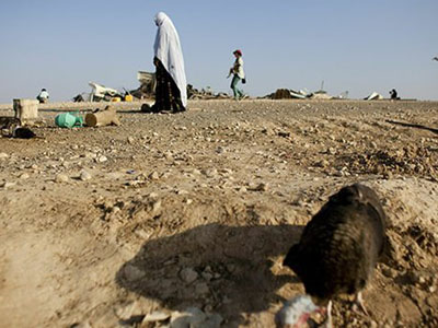 Αίγυπτος: Απαγωγή δύο τουριστών από Βεδουίνους