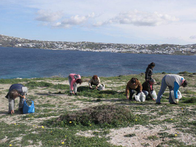 Δηλητηριάστηκε οικογένεια από επικίνδυνα χόρτα