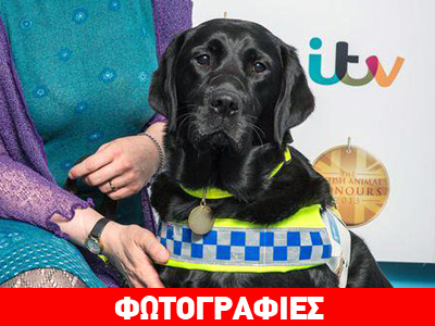 Λαμπραντόρ τιμάται για την προσφορά του