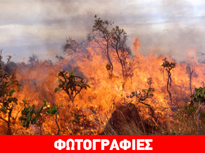 Ηράκλειο: Μαίνονται τα μέτωπα – Εκκενώθηκε σχολείο