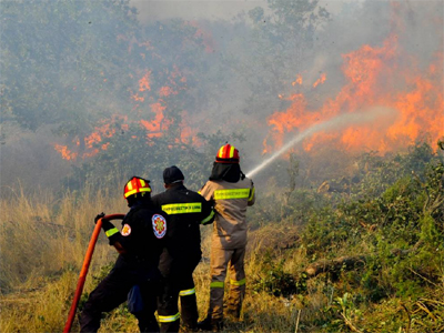 Πυρκαγιά σε εξέλιξη έξω από τη Ζαγορά Πυρκαγιά σε εξέλιξη έξω από τη Ζαγορά