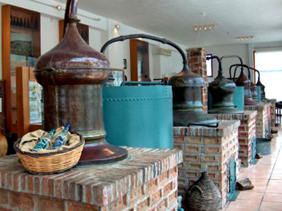 Ποτοποιοί Λέσβου: Το ούζο Μυτιλήνης κινδυνεύει