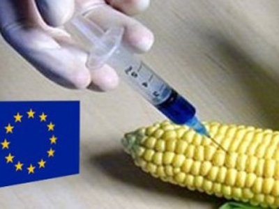 ΕΕ: Στοπ στην καλλιέργεια μεταλλαγμένων μέχρι το 2014